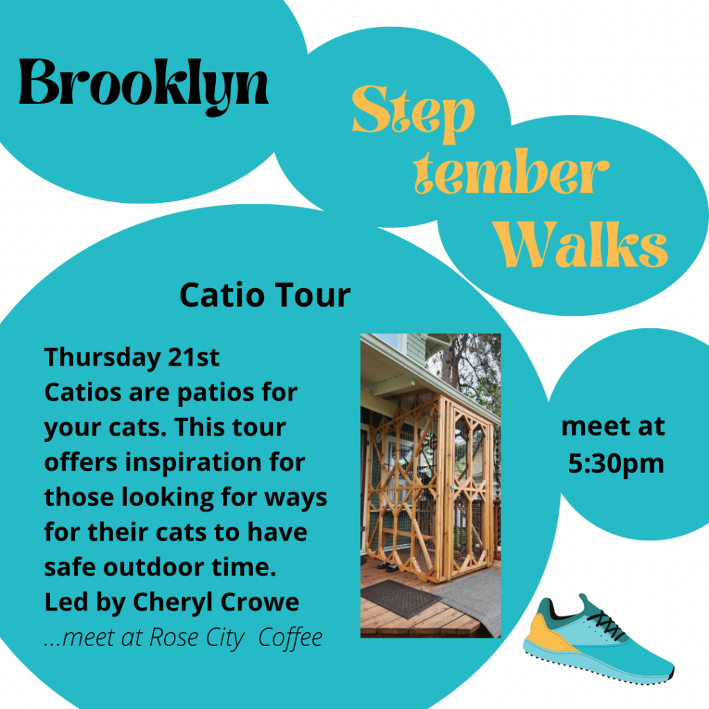 catio tour 2023