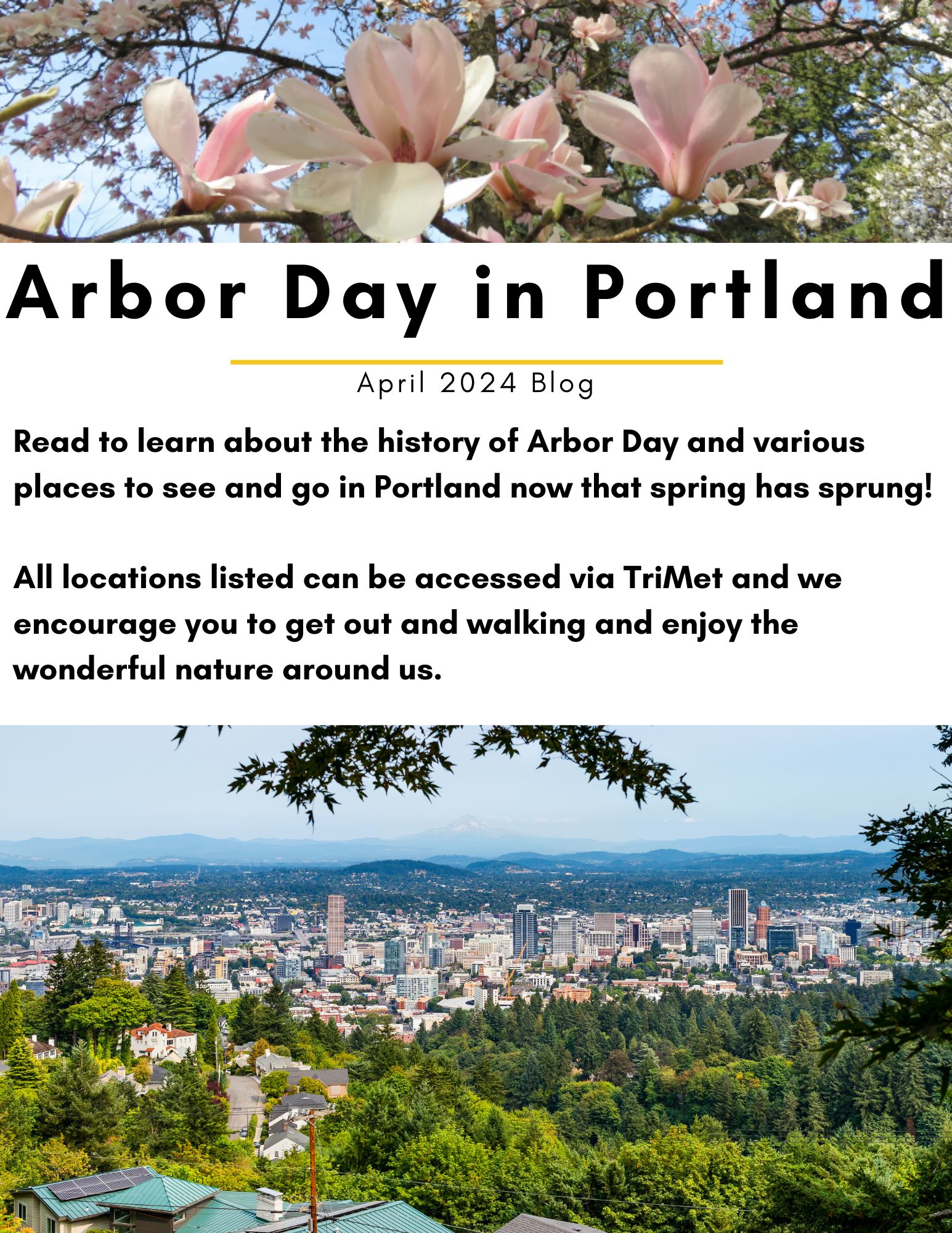 Arbor Day Blog Cover (2)